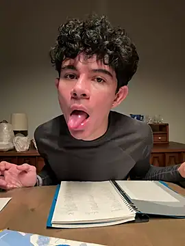 Stickmen online show from 31, 12, 2024