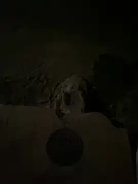 Snapshot of nowex18 chatting on 14, 3, 2025 nowex18 online show from 14, 3, 2025