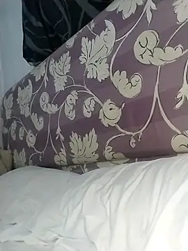 Stallion100 online show from 7, 2, 2026