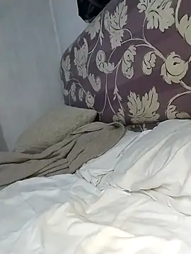 Stallion100 online show from 9, 2, 2026