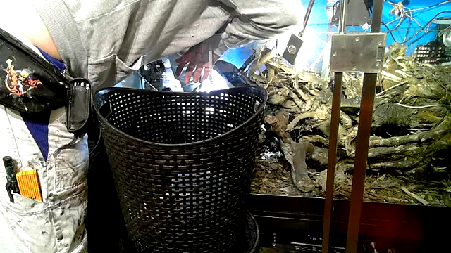 0815lukas2024 online show from 7, 10, 2025