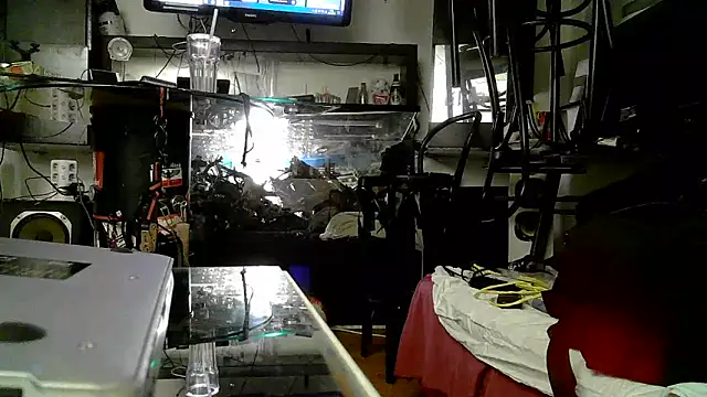 0815lukas2024 online show from 3, 11, 2025