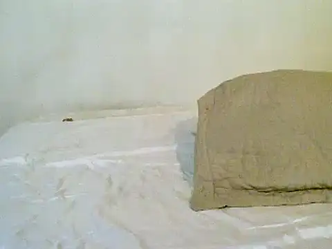 Snapshot of pollarikaaa chatting on 10, 11, 2025 pollarikaaa online show from 10, 11, 2025