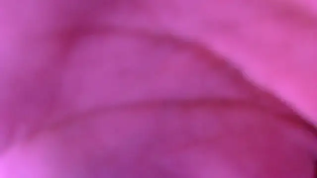 xxxxxchiaratsxxxxx online show from 8, 3, 2026