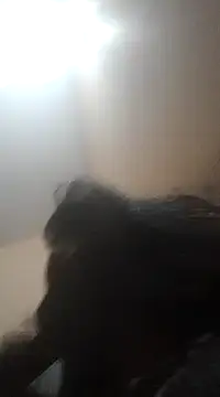 Sajal-03 online show from 1, 12, 2024