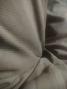 Snapshot of Working- chatting on 17, 12, 2025 Working- online show from 17, 12, 2025