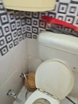 Loveboycurvy online show from 2, 4, 2026