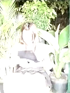 Dawn hope online show from 11, 3, 2025