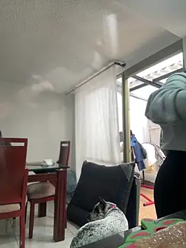 Salome golvert online show from 2, 3, 2026