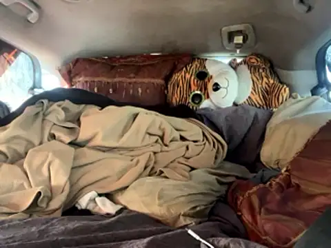 SlimeCrownzOut5 online show from 11, 1, 2026