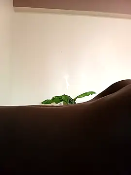 JemaimaPrincess online show from 4, 3, 2025