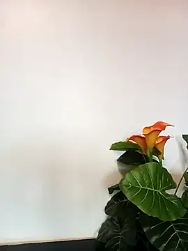 JemaimaPrincess online show from 21, 3, 2025