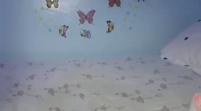 laetitia  online show from 26, 2, 2025