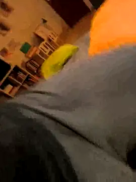 onbifeet online show from 9, 10, 2025