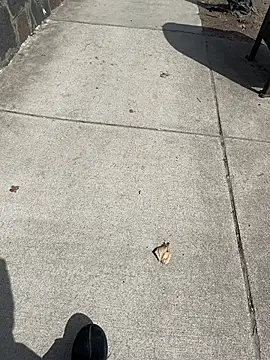 GersonGil1 online show from 30, 3, 2026