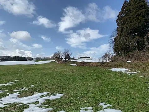 Snapshot of ge3noxxx chatting on 6, 3, 2025 ge3noxxx online show from 6, 3, 2025