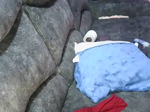 petitev online show from 2, 3, 2026