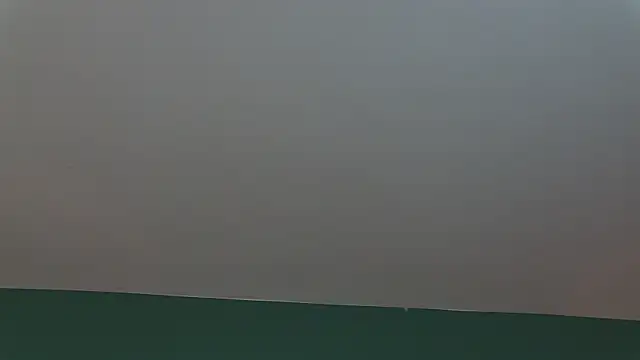 Snapshot of AlicePirs chatting on 25, 1, 2025 AlicePirs online show from 25, 1, 2025