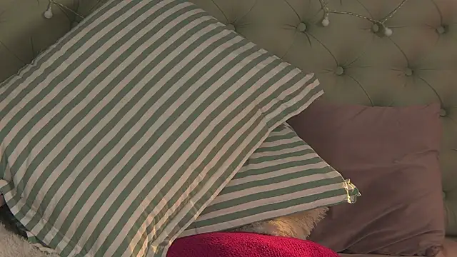 Snapshot of AlicePirs chatting on 6, 2, 2025 AlicePirs online show from 6, 2, 2025