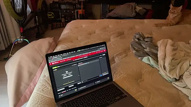 kameray12 online show from 8, 11, 2025