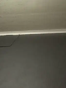 Snapshot of DManL chatting on 30, 11, 2025 DManL online show from 30, 11, 2025