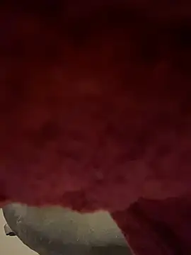 Snapshot of AditiIndia chatting on 13, 12, 2024 AditiIndia online show from 13, 12, 2024