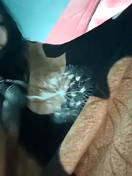 Angel Anamika online show from 26, 11, 2025