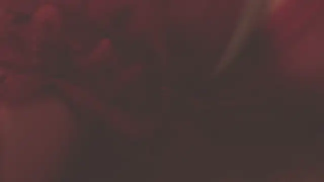 oxiris 1 online show from 16, 1, 2025