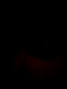 Mahi-00B online show from 16, 1, 2026