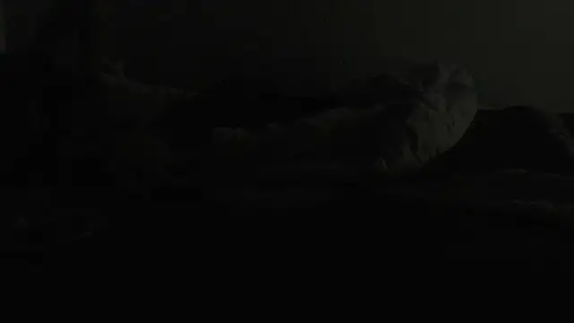 flexingplexico online show from 6, 1, 2025