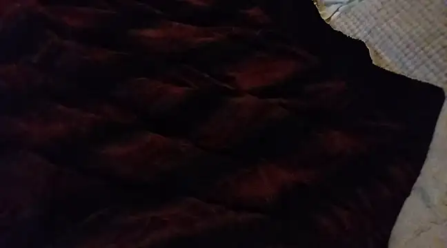 Snapshot of BushBator chatting on 4, 3, 2025 BushBator online show from 4, 3, 2025