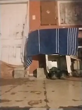 brownfeet online show from 18, 1, 2025