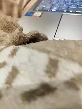 Snapshot of Bemgalado chatting on 3, 1, 2025 Bemgalado online show from 3, 1, 2025