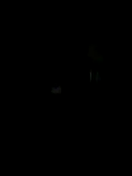 Off the Lesh online show from 15, 10, 2025