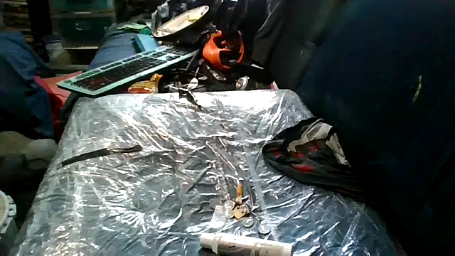 robeaulieu02 online show from 24, 11, 2025