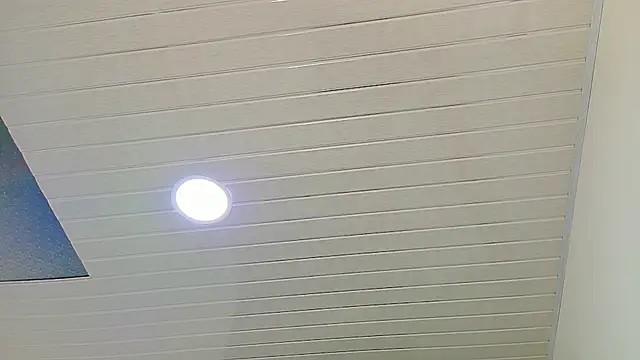 Snapshot of scarlet-jonesx chatting on 10, 1, 2026 scarlet-jonesx online show from 10, 1, 2026