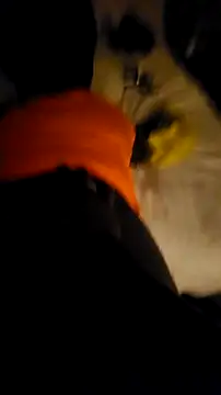 007Giovani online show from 23, 12, 2025