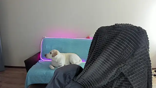 Liam sexy1 online show from 20, 12, 2024