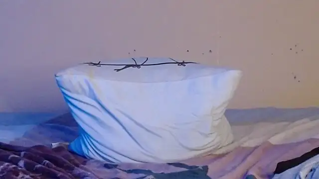 daiki sx online show from 8, 1, 2025