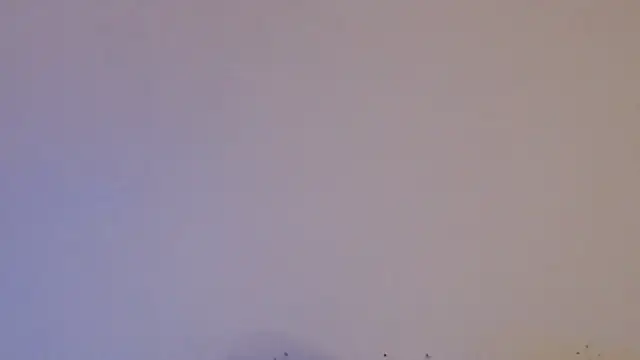 daiki sx online show from 24, 1, 2025