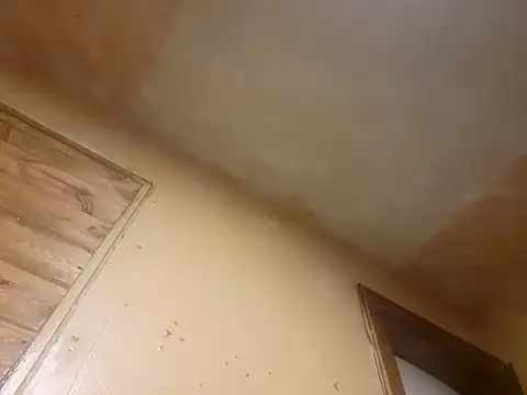 Snapshot of BigDDave6979 chatting on 13, 3, 2025 BigDDave6979 online show from 13, 3, 2025