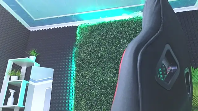 Snapshot of erikabrian chatting on 29, 12, 2024 erikabrian online show from 29, 12, 2024