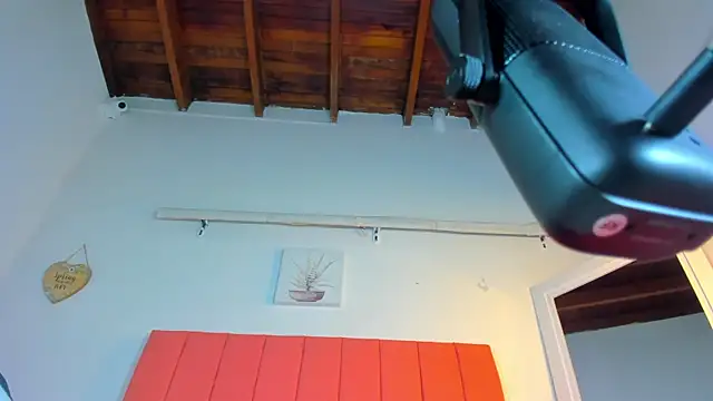 Snapshot of valen_rose0 chatting on 2, 11, 2025 valen rose0 online show from 2, 11, 2025