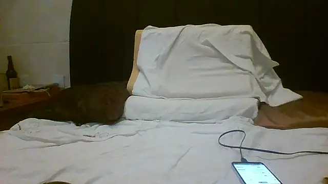 Denisilboss online show from 24, 3, 2026