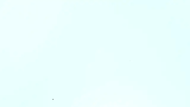  Lakshmi hotx online show from 5, 12, 2024