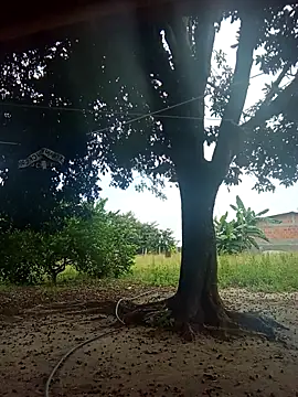 natally ross21 online show from 9, 2, 2026