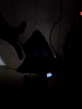 Snapshot of everyoneneeds chatting on 26, 12, 2024 everyoneneeds online show from 26, 12, 2024