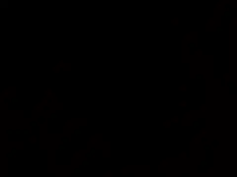 thatdude9 9 9 online show from 31, 3, 2026