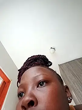 Mayo01  online show from 6, 1, 2026