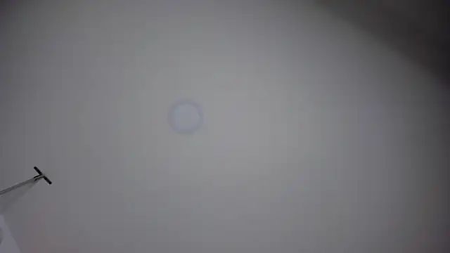 Snapshot of ChloeConnorr chatting on 28, 12, 2024 ChloeConnorr online show from 28, 12, 2024